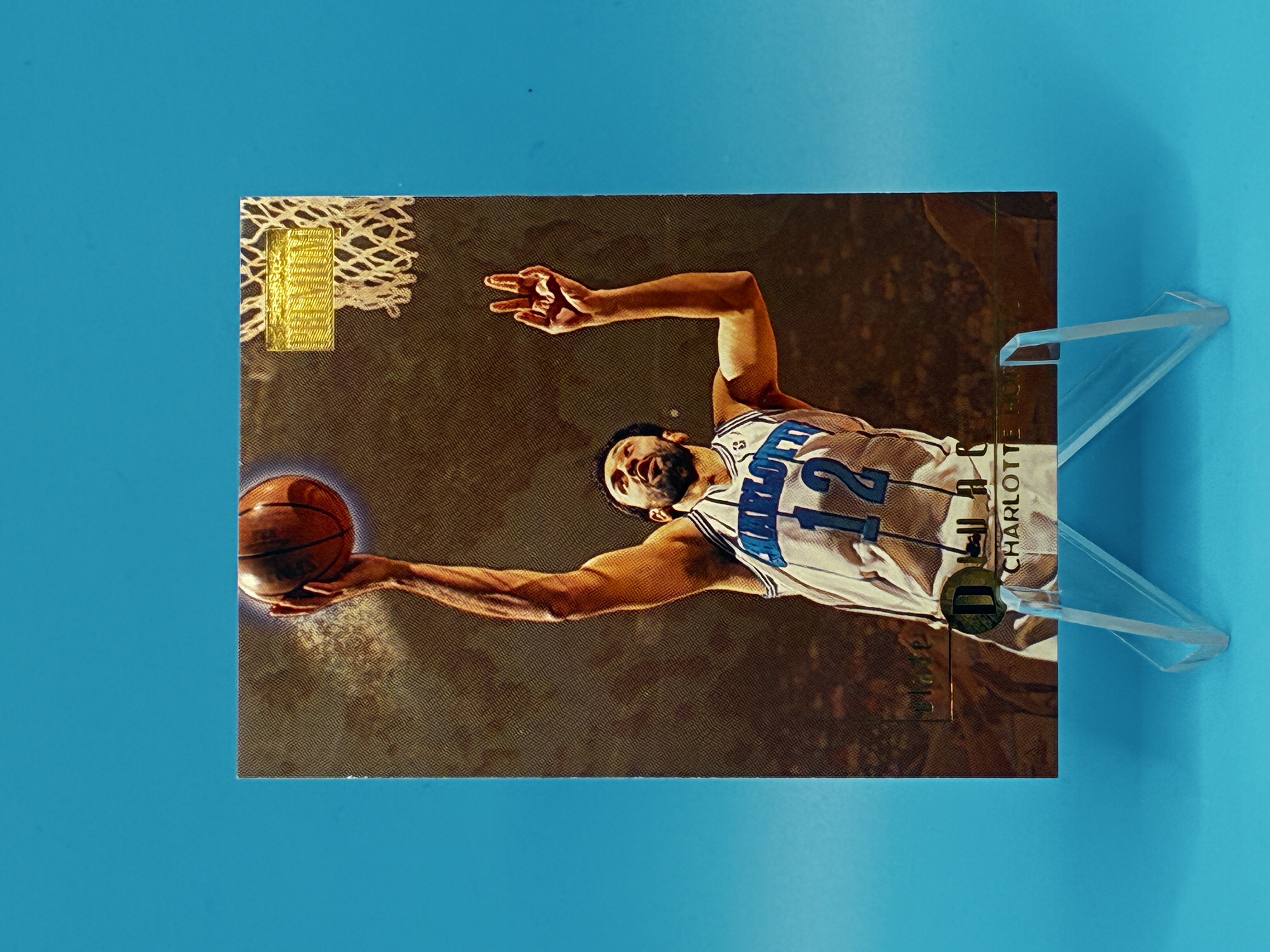 1996/1997 SkyBox Premium Vlade Divac #138 Charlotte Hornets – Vorderseite